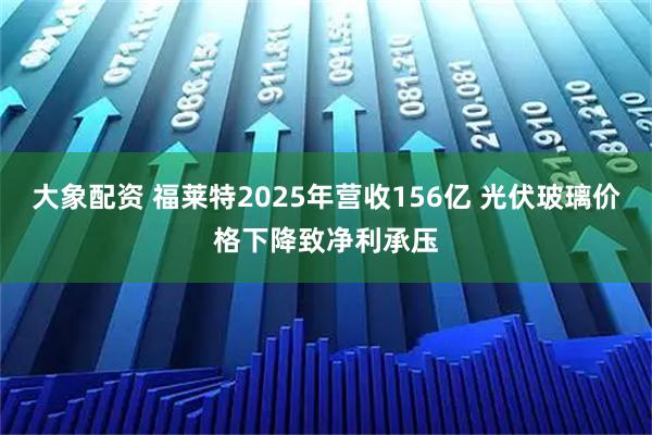 大象配资 福莱特2025年营收156亿 光伏玻璃价格下降致净利承压